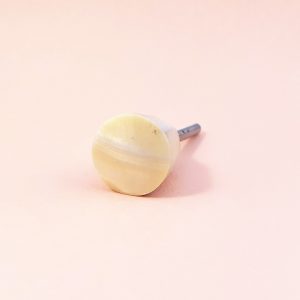 Small Shell Knob Small Shell Knob