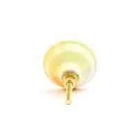 DSC 3670 Lemon slice knob