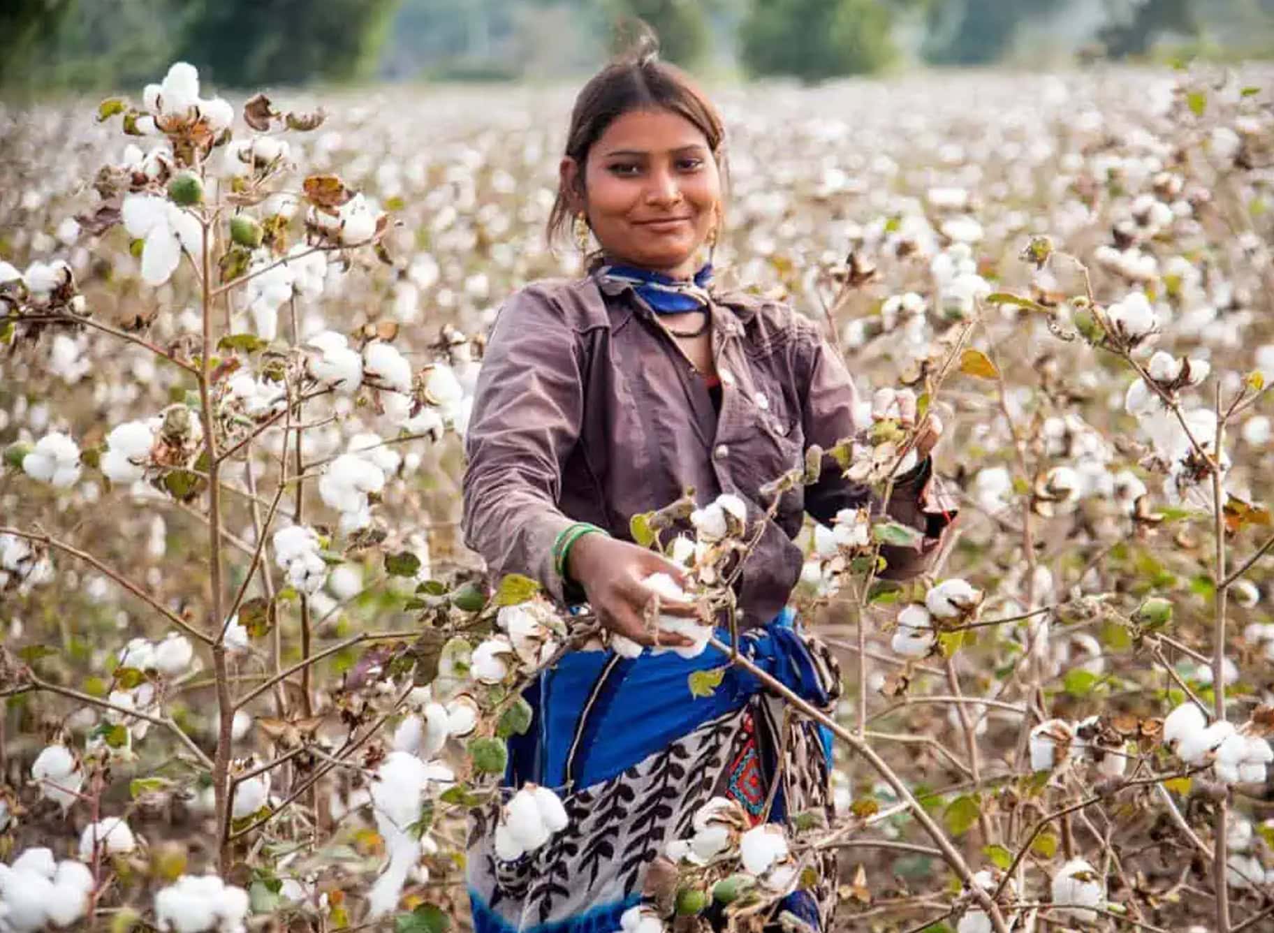 Our Ethically Sourced Home Hardware: How They Help the Environment - All - Ethically Sourced Home Hardware