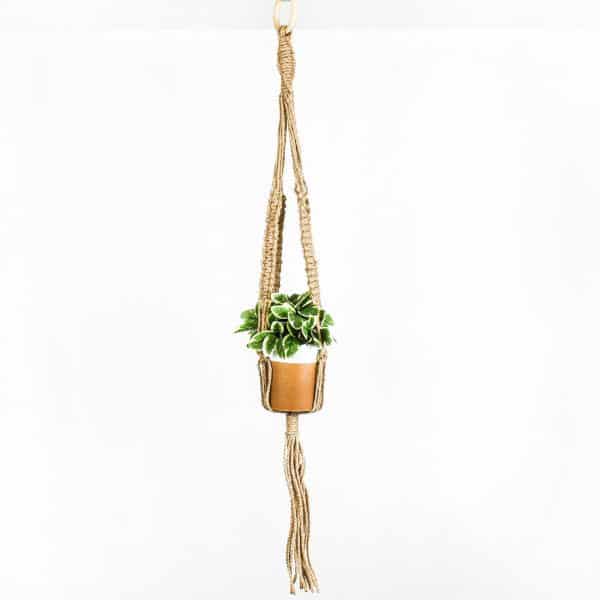 Jute Braided Macrame Plant Hanger - Jute Braided Macrame Plant Hanger