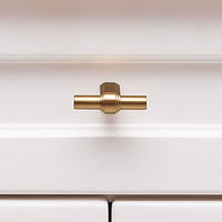 HK0142 Brushed Brass Pull 5