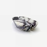 viola 7 2000x2000