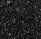 Crystal Black
