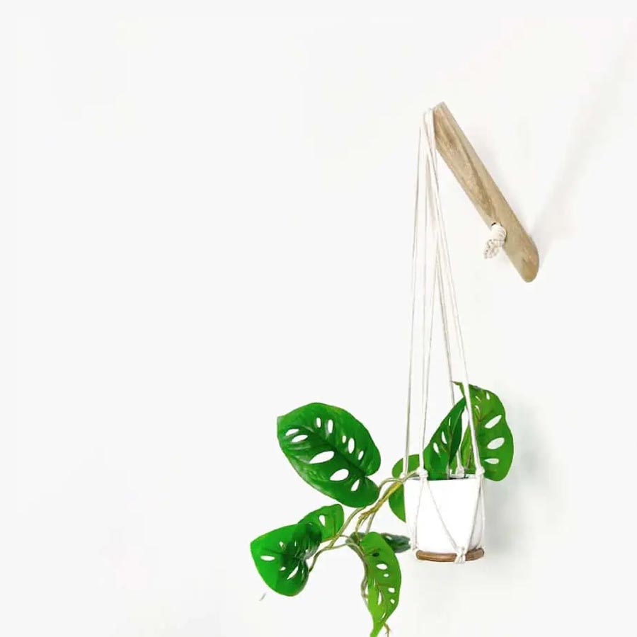 Shop Cabinet Hardware: Knobs, Cabinet Handles, Drawer Pulls, Wall Hooks & more 45 plant hangers front.jpg